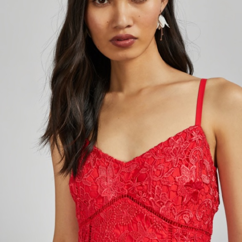 NWOT Ted Baker Valens mixed lace midi dress, Ted size 3 (regular 8) - Picture 2 of 12